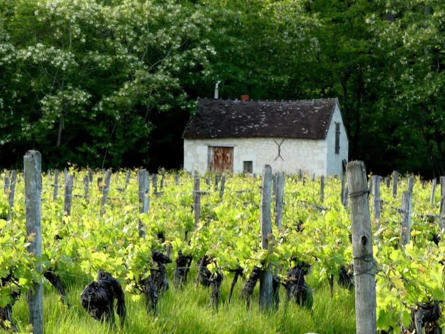 Maison De Bourg Paisible Parcay-sur-Vienne Exterior photo